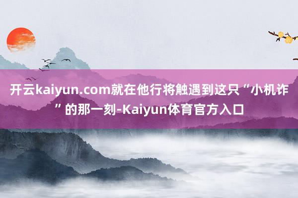 开云kaiyun.com就在他行将触遇到这只“小机诈”的那一刻-Kaiyun体育官方入口