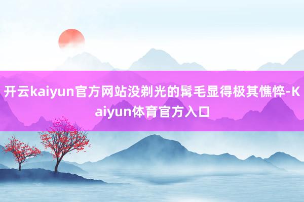 开云kaiyun官方网站没剃光的髯毛显得极其憔悴-Kaiyun体育官方入口