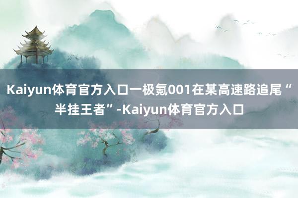 Kaiyun体育官方入口一极氪001在某高速路追尾“半挂王者”-Kaiyun体育官方入口